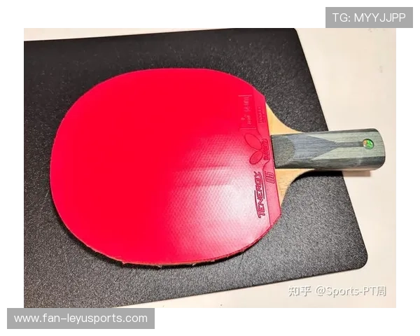 乒乓球拍配置推荐2026：底板与胶皮的黄金组合，乒乓球拍底板和胶皮的专业搭配推荐